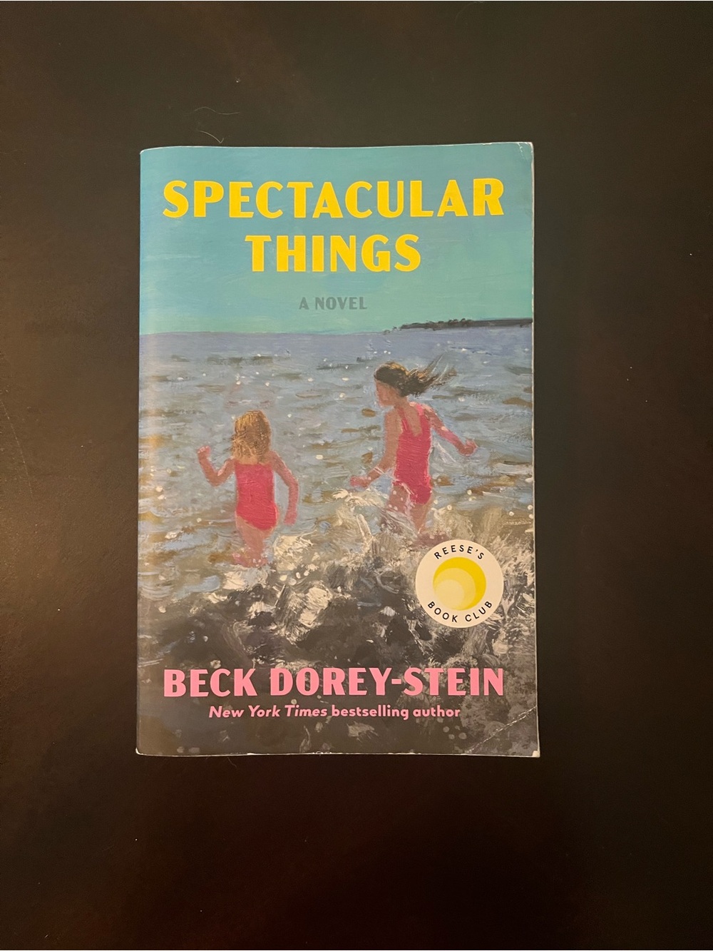 'Spectacular Things' — Pink Cover Novel